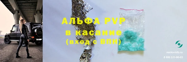 амф Арсеньев